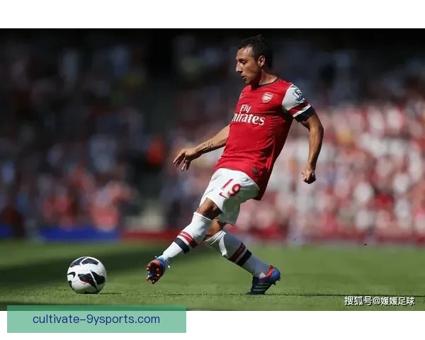 南安普顿足球俱乐部最新动态：主教练更替与阵容调整引关注