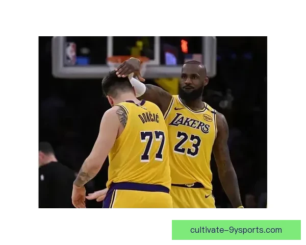 湖人队新赛季目标明确 詹姆斯与浓眉欲携手冲击总冠军