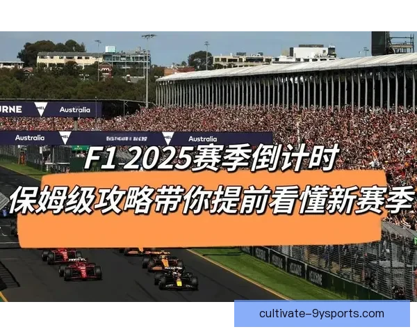 F1赛季最新动态解析各车队策略与车手表现对比