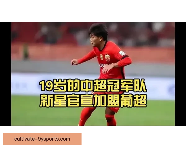 中国篮球联赛激战正酣新星崛起引领球队冲击总冠军