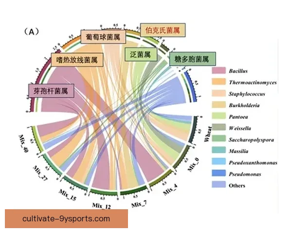伯恩利俱乐部发展历程与未来潜力全面解析