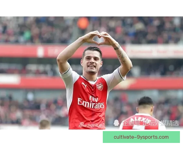 布伦特福德近期转会动态与英超赛季表现全面深度解析观察前景展望分析报道