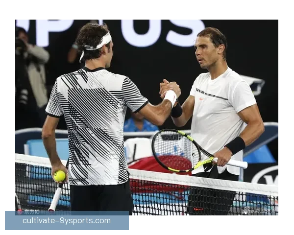 世界网球排名新变化 纳达尔伤退两个月 费德勒或将回归赛场